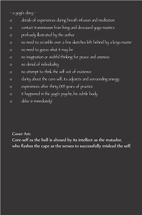 yogaInvision7backCOVER420